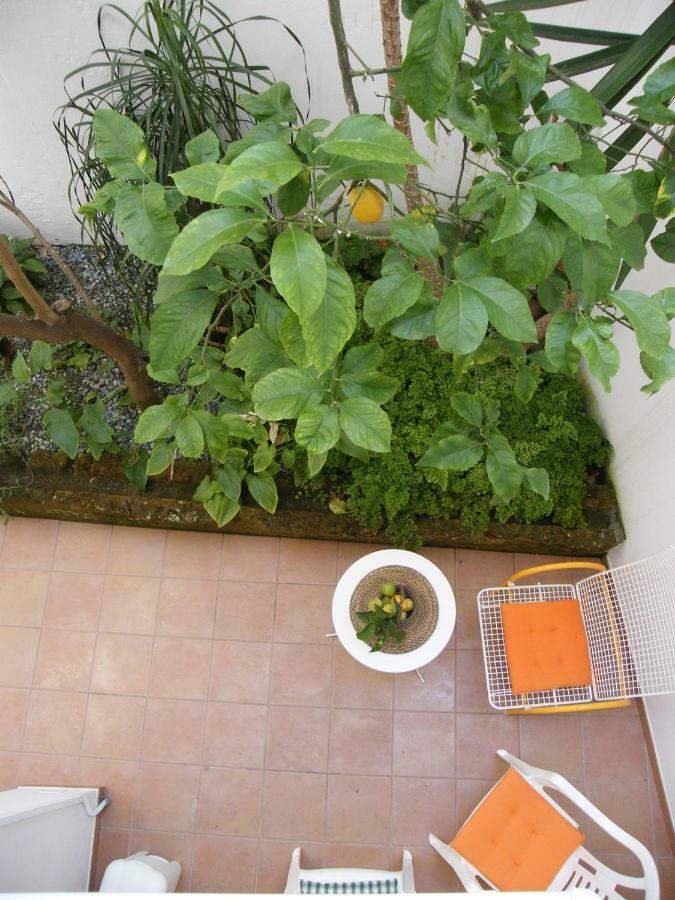 Il Cedrangolo House Monopoli Zewnętrze zdjęcie